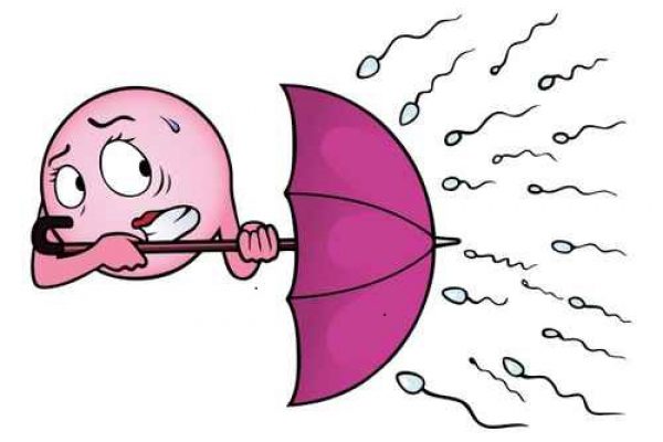Egg cell holding an umbrella against a rain of sperm.